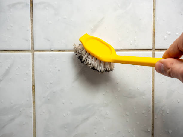 Best Mold Cleaning Services  in Elk Mound, WI