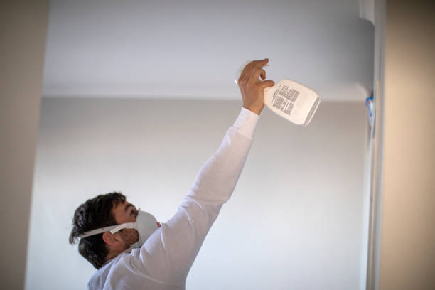 Best Office Mold Removal Services  in Elk Mound, WI