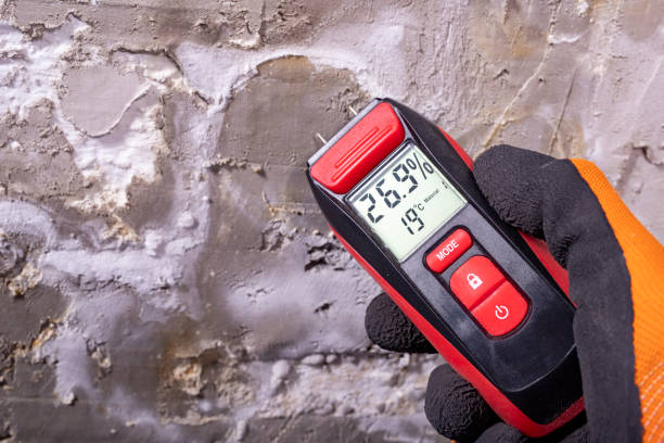 Best Mold Testing  in Elk Mound, WI