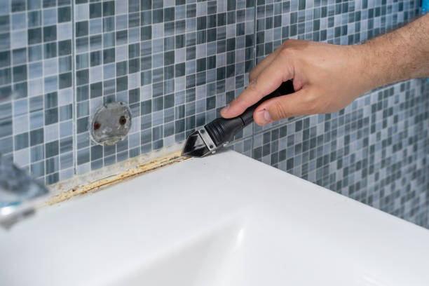 Trusted Elk Mound, WI Mold Removal Experts